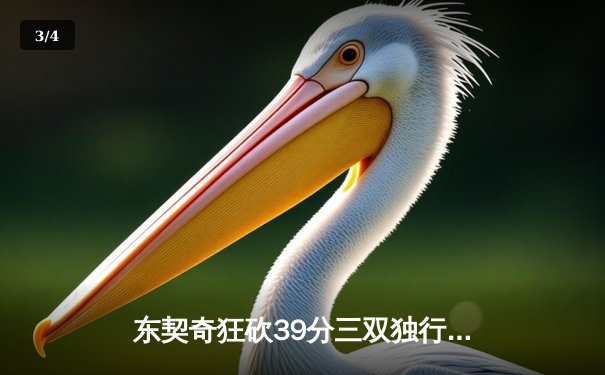 东契奇狂砍39分三双独行侠加时险胜雷霆，欧文关键三分锁定胜局 - 3